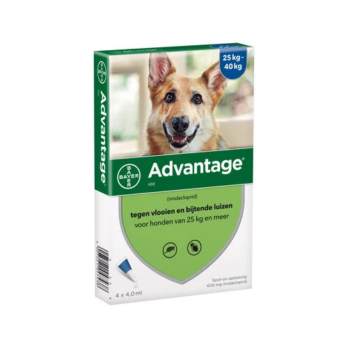 Advantage Hund – Bild 8