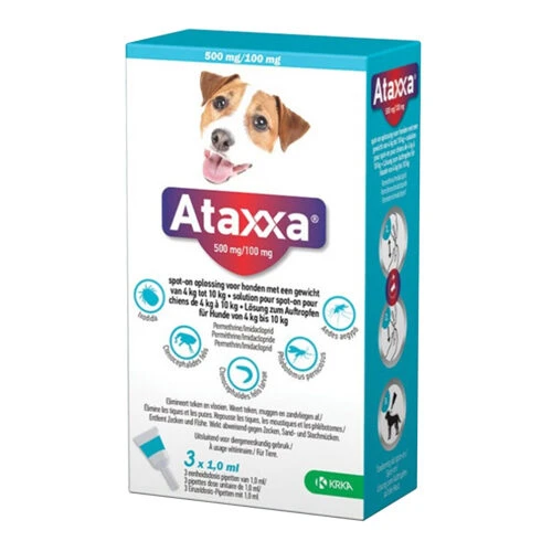 Ataxxa – Bild 4