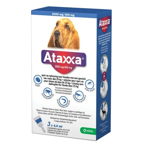 Ataxxa – Bild 3