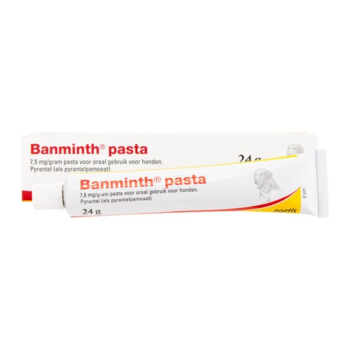 Banminth Paste - Hund