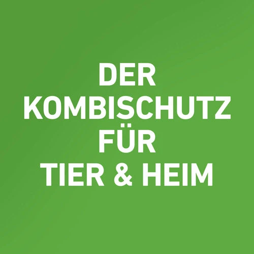 Frontline Combo Gegen Zecken, Flöhe (Flöhe, Eier, Larven, Puppen) Bei Hunden – Bild 16