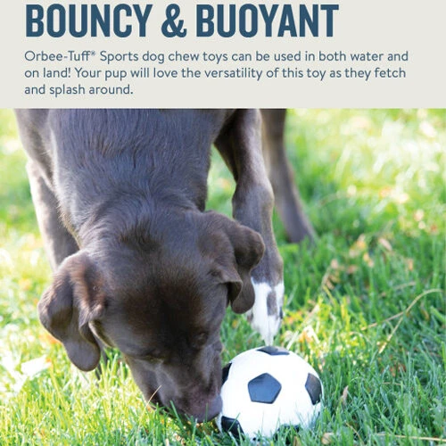 Planet Dog Orbee-Tuff Soccer Ball – Bild 6