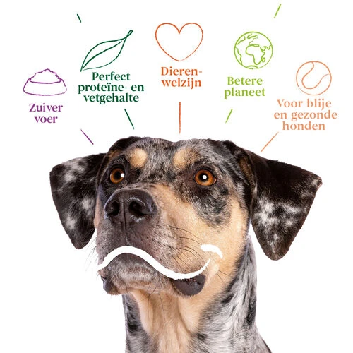 Yarrah - Bio Trockenfutter Vega Getreidefrei – Bild 3