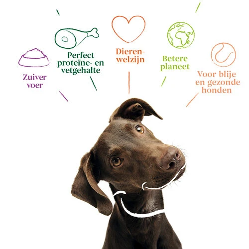 Yarrah - Getreidefreies Trockenfutter Bio – Bild 3