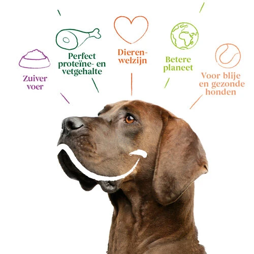 Yarrah - Trockenfutter Sensitiv Mit Huhn Und Reis Bio â Bild 3