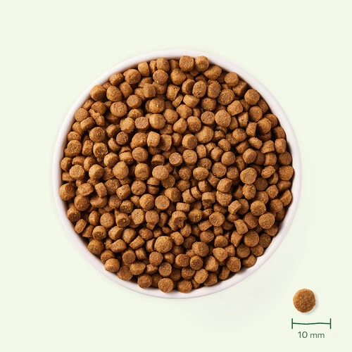 Yarrah - Trockenfutter Für Kleine Rassen Mit Huhn Bio – Bild 3