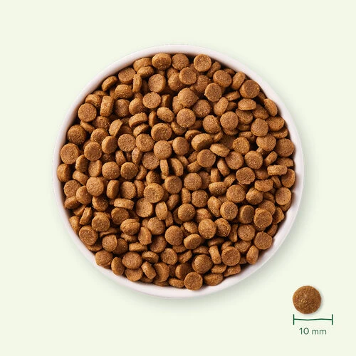 Yarrah - Trockenfutter Für Welpen Mit Huhn Bio – Bild 3