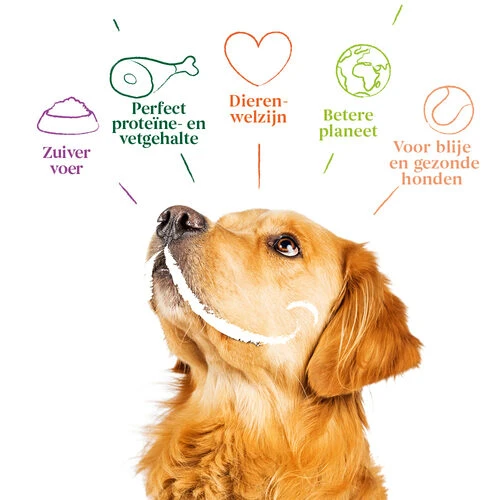 Yarrah - Hundefutter Paté Huhn Mit Spirulina Und Meeresalgen In Soße Bio – Bild 6